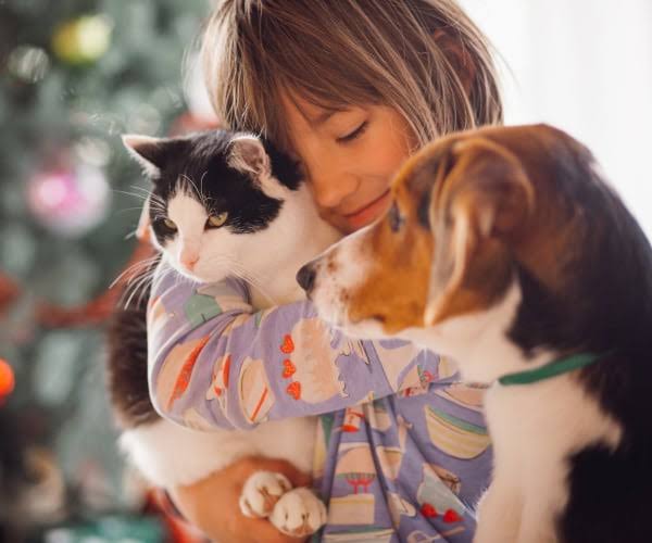 Seguro de mascotas en Cali Colombia - niño con perro y gato - MC Seguros e Inversiones